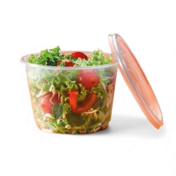 Contenedor transparente...