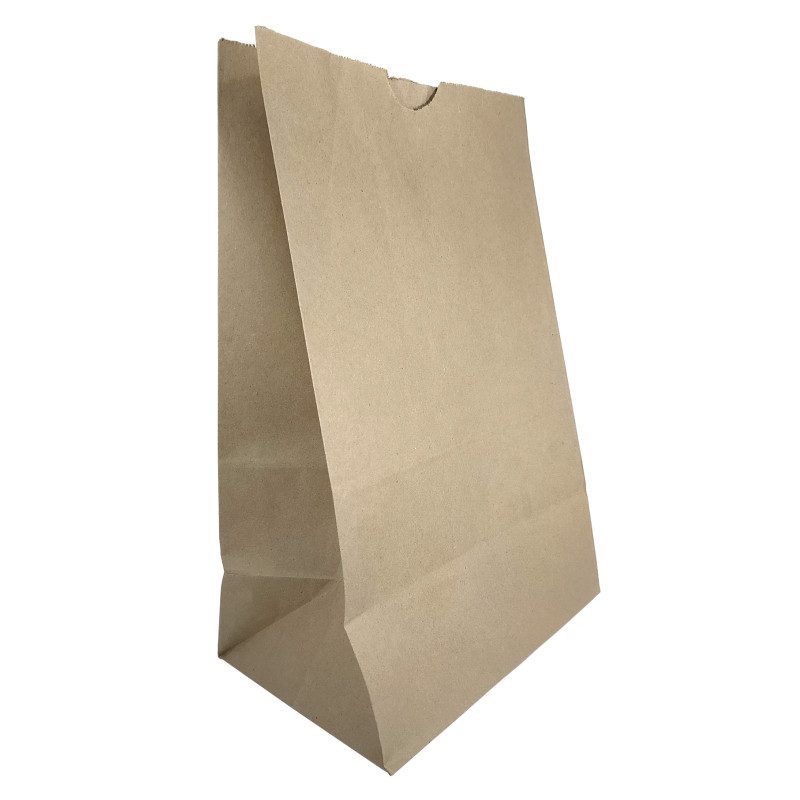 Bolsa papel domicilios bio 60