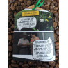 Café Tostado Orgánico - Sabor Esperanza.